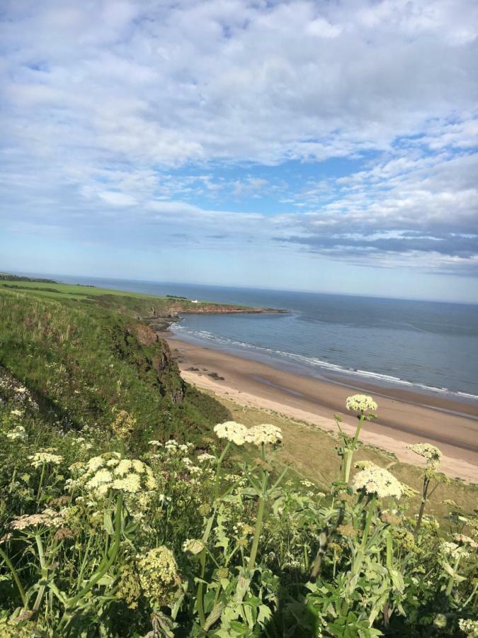Dunnottar Woods Cottage 스톤하븐 외부 사진